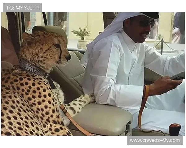 伊拉克客场适应性训练：沙特高温模拟备战阿联酋