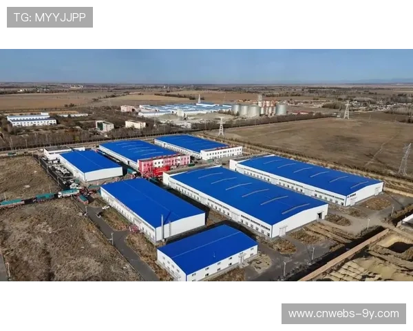 信都兄弟连5-0昭平运营中心，取县域足球赛开门红